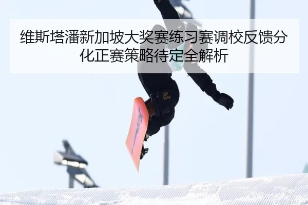 维斯塔潘新加坡大奖赛练习赛调校反馈分化正赛策略待定全解析